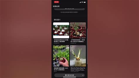 植物種類查詢